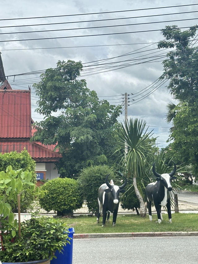 พาเที่ยววัดอินทาราม (วัดหนองขาว) จ.กาญจนบุรี