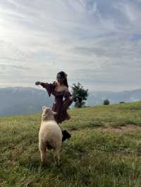 อาข่าฟาร์ม ดอยช้าง 🐑⛰️