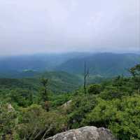 Peaceful Trails & Peak Feels at Baekdeoksan 