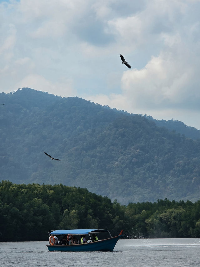 Into the Wild: Discover the Natural Wonders of Kilim Geoforest Park