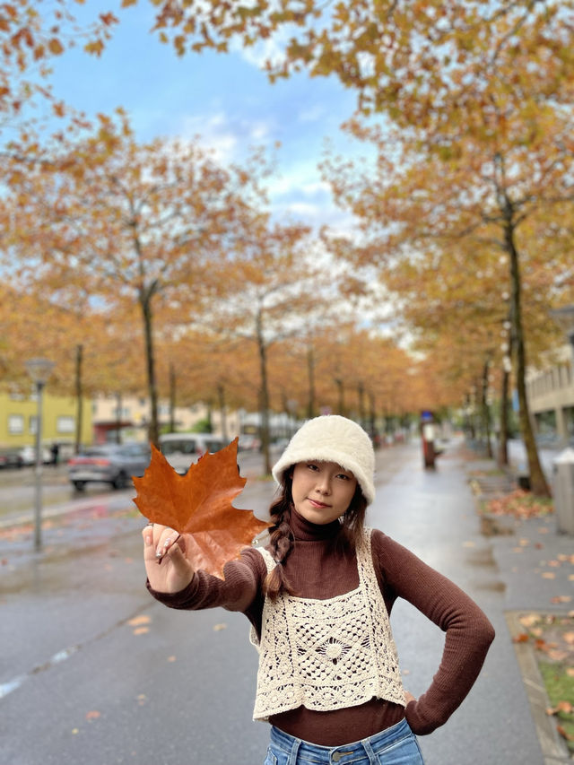 瑞士🇨🇭
