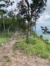 อุทยานแห่งชาติไทรทอง ทุ่งบัวสวรรค์