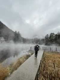 漫遊由布院金鱗湖：光影交織的夢幻奇蹟