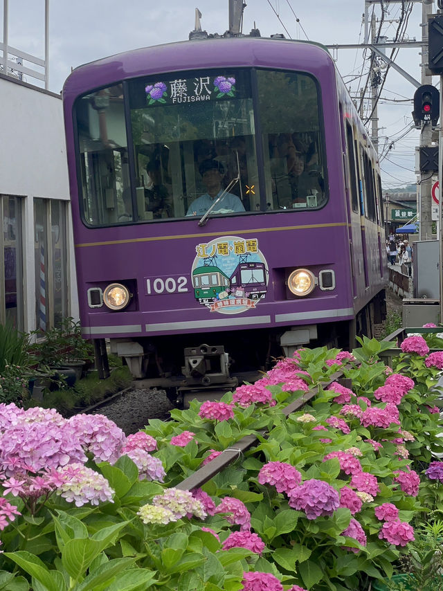 KAMAKURA, Japan! 