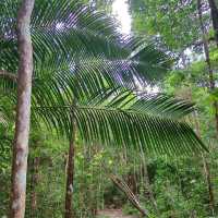 Penang National Park