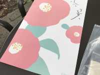 🌺 Camellia Hill – ดินแดนแห่งดอกไม้บนเกาะเชจู