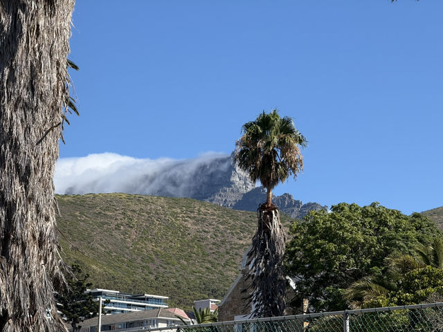 How to spend 7 days in Cape Town