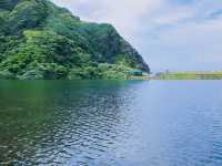 龜山島登島：與海豚相遇的夢幻小旅行 🌊🐬