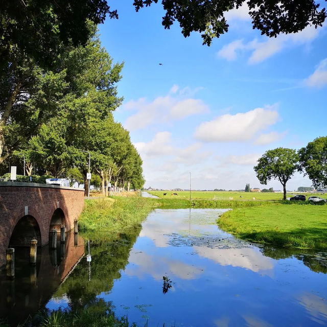 🧀🌷 Edam Cheese Hunting Guide: A Summer Adventure in Holland’s Iconic Cheese Town  