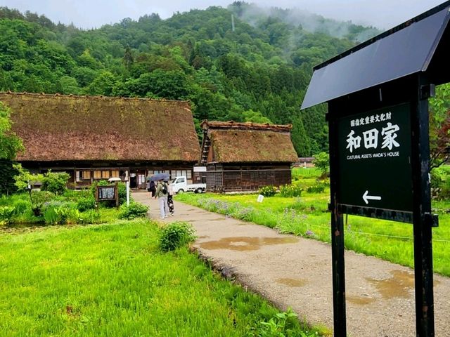 Enchanting scenery just like fairy tale comes to life