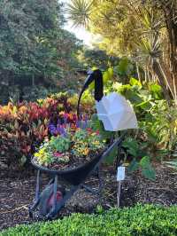 Spectacle Garden: A Colorful Escape in Brisbane