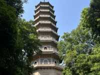 🌸 Exploring the Jiangnan Region – Nanjing, Wuxi, Suzhou & Shanghai in 6 Days!