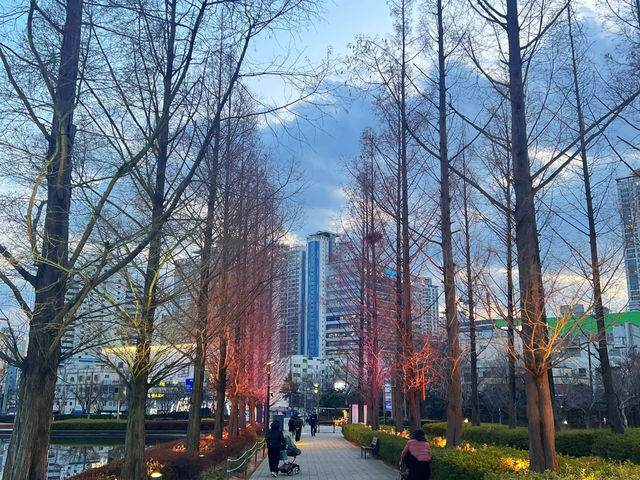 Busan Citizens Park: An Urban Oasis with Enchanting Night Views! 🌳💦