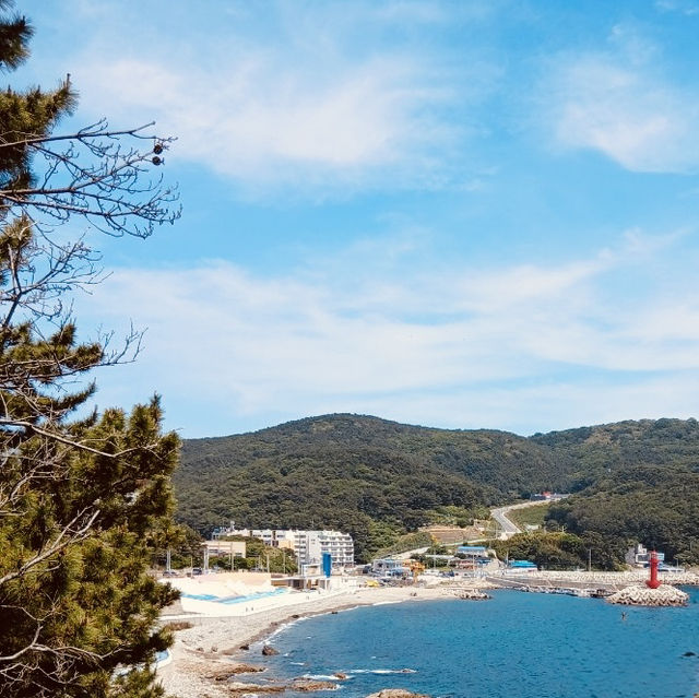 Square 75, Busan: A Local Coastal Hub with Dining and Views