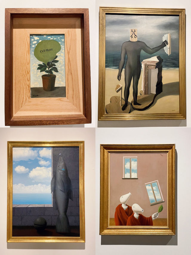 【ブリュッセル🇧🇪】シュルレアリスムの世界へ！マグリット美術館 🖼️︎💙🕊