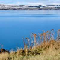 A Blue So Bold: The Magic of Lake Pukaki!