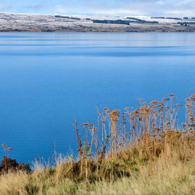 A Blue So Bold: The Magic of Lake Pukaki!