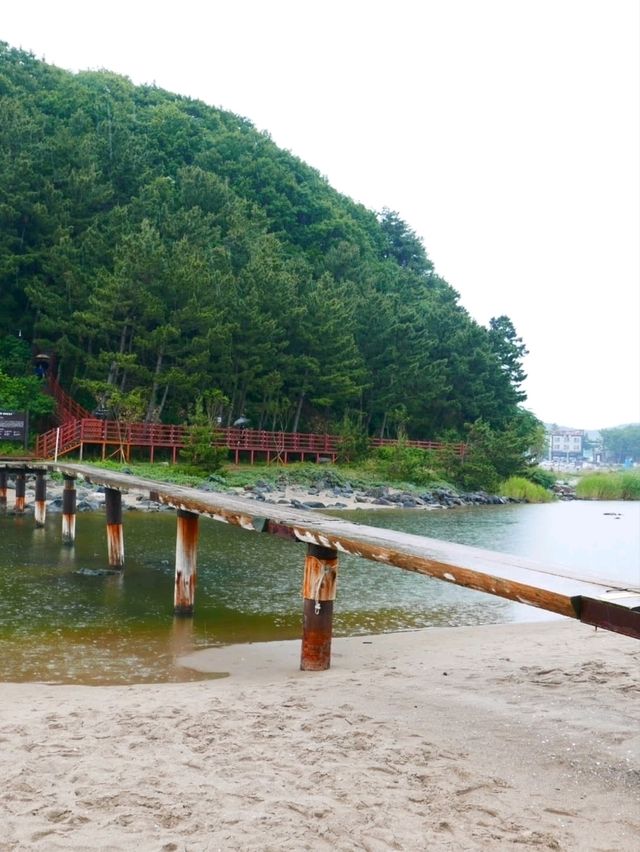Deokbongsan Coastal Trail Walk 