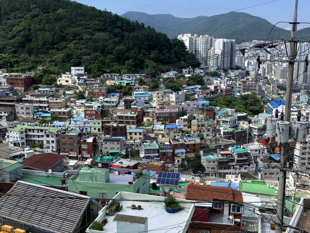 釜山日帰り旅行✈️
