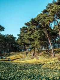 Organic House, Unsan‑myeon