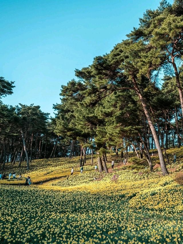 Organic House, Unsan‑myeon