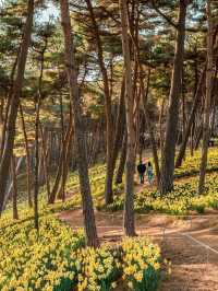 Organic House, Unsan‑myeon