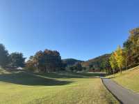 비전힐스CC (Vision Hills CC) – 남양주 주중 퍼블릭 명품 코스 후기