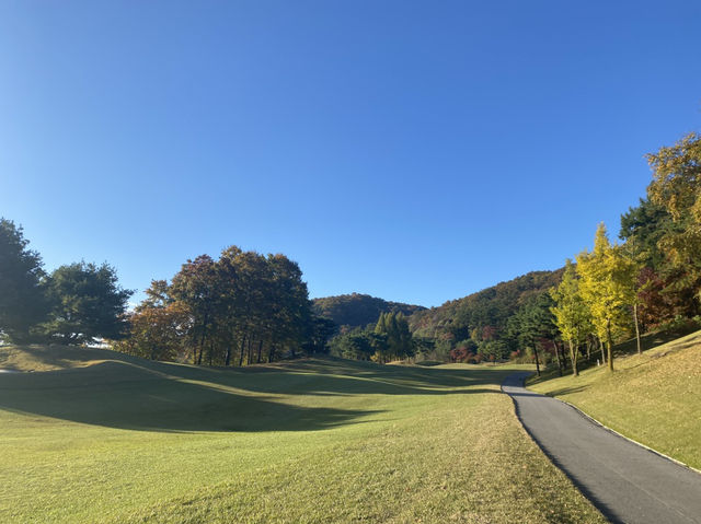 비전힐스CC (Vision Hills CC) – 남양주 주중 퍼블릭 명품 코스 후기