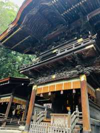 「神様って、本当にいるのかも…」そんな感覚に包まれる場所が、長野にはあります。