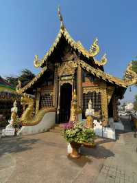 ☀️ Chiang Mai Summer Vibes ☀️