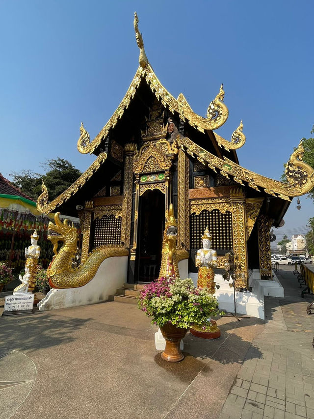 ☀️ Chiang Mai Summer Vibes ☀️