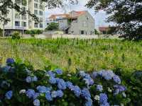 A Historical and Poetic Riverside Walk