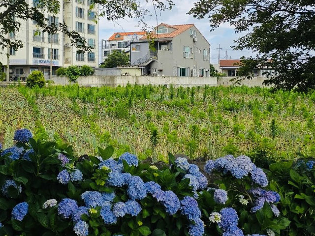 A Historical and Poetic Riverside Walk