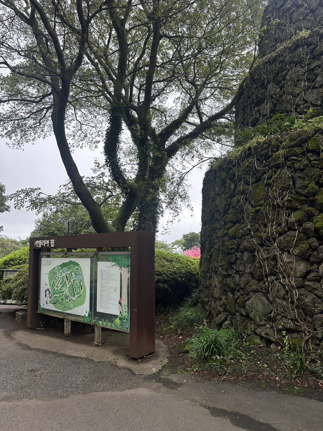 아름다운 인생샷을 원한다면, 제주 카멜리아힐 🌺♥️
