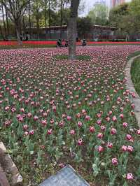 “Jing’an Sculpture Park เที่ยวเพลิน เดินชิล