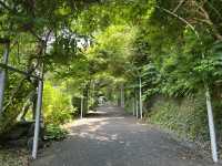 靜岡伊豆下田紫陽花季 六月限定景點