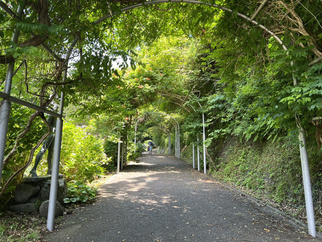 靜岡伊豆下田紫陽花季 六月限定景點