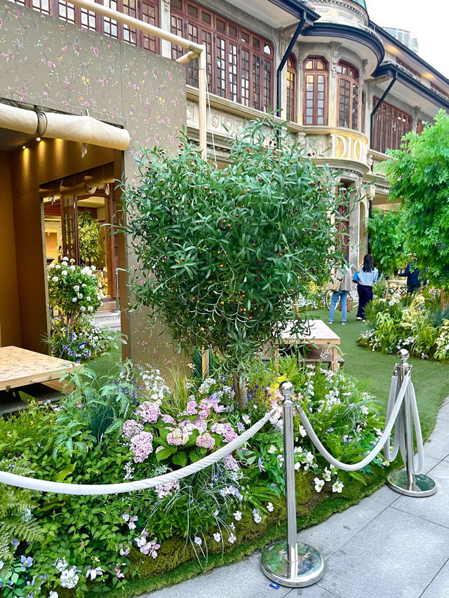 🌿🚶‍♀️ Slow Walk in Shanghai｜No Landmarks, Just Vibes ☕📷🌇 
