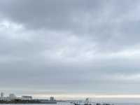 ⛩️🎡🌊 Half-Day in Kobe – Torii Trails & Harbor Lights