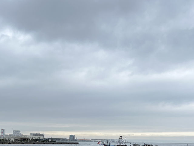 ⛩️🎡🌊 Half-Day in Kobe – Torii Trails & Harbor Lights