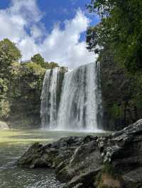 紐西蘭旅遊景點—💦 Whangārei Falls｜北島最優雅的瀑布散步路線