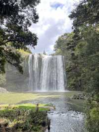 紐西蘭旅遊景點—💦 Whangārei Falls｜北島最優雅的瀑布散步路線