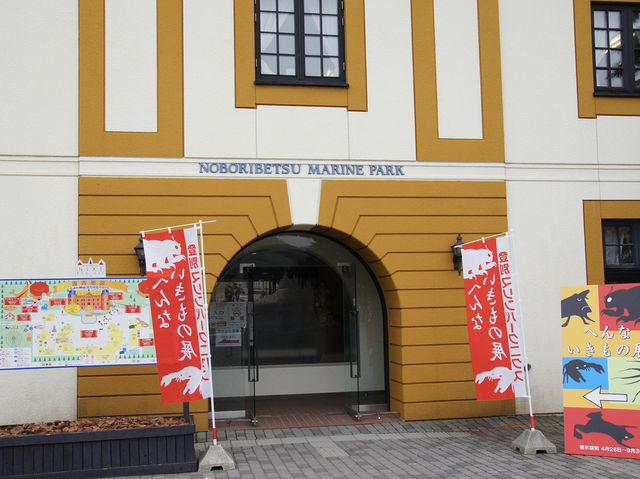 🐧 A Whimsical Day at Noboribetsu Marine Park Nixe