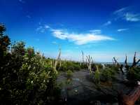 Tua Pek Kong Temple & Mangrove Walk – A Scenic Surprise in Setiawan