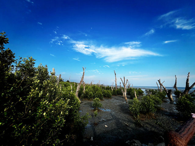 Tua Pek Kong Temple & Mangrove Walk – A Scenic Surprise in Setiawan