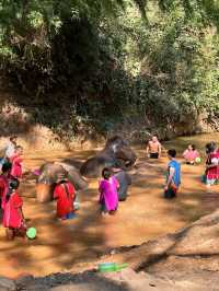 Elephant Hugs and Mud Baths