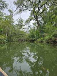 Jungle Cruise