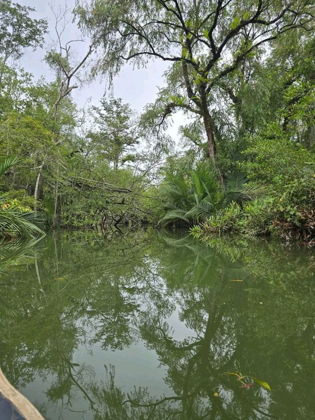 Jungle Cruise