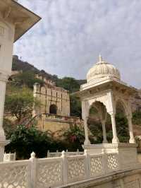 Gatore Ki Chhatriyan Is Quietly Stunning