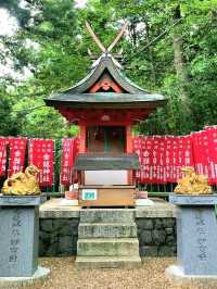 Deer & Serenity: A Stroll Through Nara Park